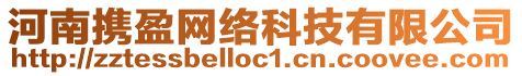 河南攜盈網絡科技有限公司