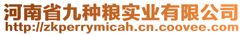 河南省九種糧實業(yè)有限公司