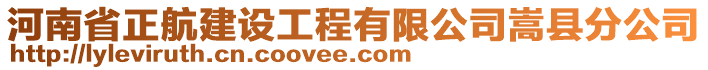 河南省正航建設(shè)工程有限公司嵩縣分公司