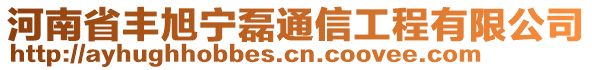 河南省豐旭寧磊通信工程有限公司