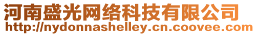 河南盛光網(wǎng)絡科技有限公司