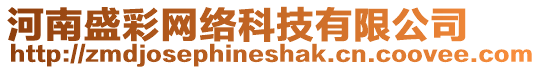 河南盛彩網絡科技有限公司