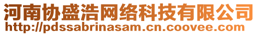 河南協(xié)盛浩網絡科技有限公司