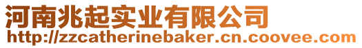 河南兆起實業有限公司