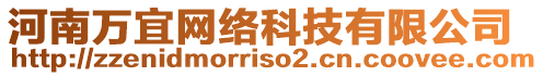 河南萬宜網(wǎng)絡(luò)科技有限公司