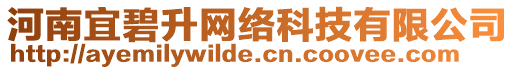河南宜碧升網絡科技有限公司