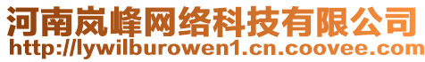 河南嵐峰網(wǎng)絡(luò)科技有限公司