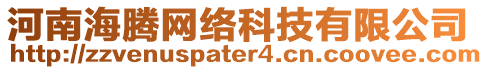 河南海騰網(wǎng)絡(luò)科技有限公司