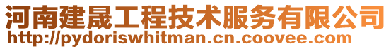 河南建晟工程技術服務有限公司