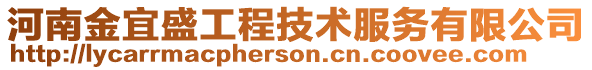 河南金宜盛工程技術服務有限公司