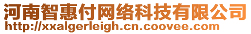 河南智惠付網(wǎng)絡(luò)科技有限公司