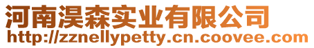 河南淏森實業(yè)有限公司