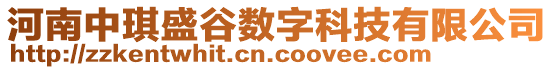 河南中琪盛谷數(shù)字科技有限公司