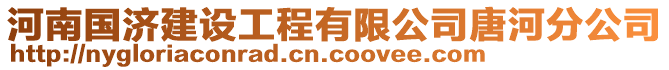 河南國濟建設工程有限公司唐河分公司