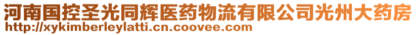 河南國控圣光同輝醫藥物流有限公司光州大藥房