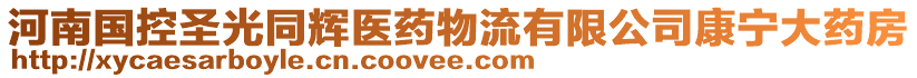 河南國控圣光同輝醫藥物流有限公司康寧大藥房