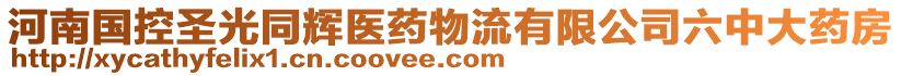 河南國(guó)控圣光同輝醫(yī)藥物流有限公司六中大藥房