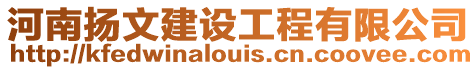 河南揚(yáng)文建設(shè)工程有限公司