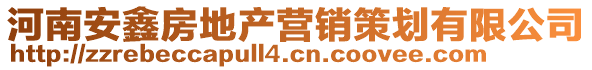 河南安鑫房地產(chǎn)營銷策劃有限公司