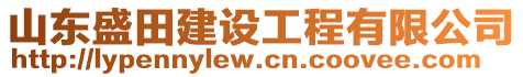 山东盛田建设工程有限公司