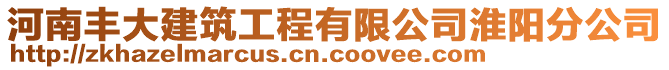 河南豐大建筑工程有限公司淮陽分公司