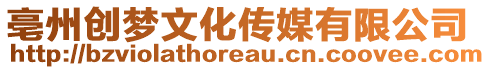 亳州創夢文化傳媒有限公司