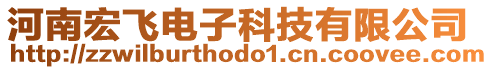 河南宏飛電子科技有限公司