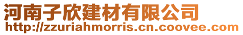 河南子欣建材有限公司