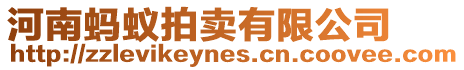 河南螞蟻拍賣有限公司