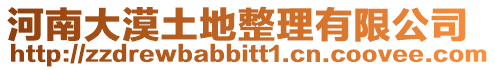 河南大漠土地整理有限公司
