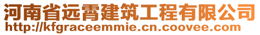 河南省遠霄建筑工程有限公司