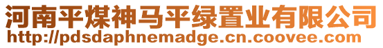 河南平煤神馬平綠置業有限公司