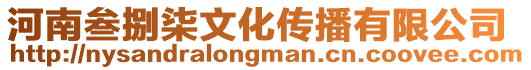 河南叁捌柒文化傳播有限公司