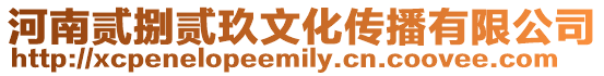 河南貳捌貳玖文化傳播有限公司