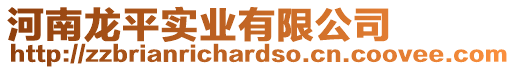 河南龍平實(shí)業(yè)有限公司