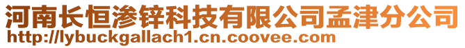 河南長恒滲鋅科技有限公司孟津分公司