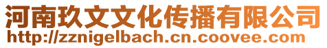 河南玖文文化傳播有限公司