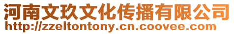 河南文玖文化傳播有限公司
