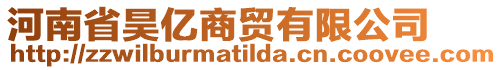 河南省昊億商貿有限公司