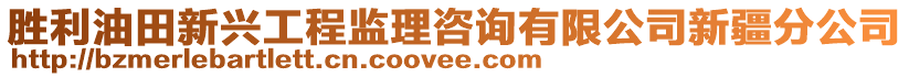 勝利油田新興工程監(jiān)理咨詢有限公司新疆分公司