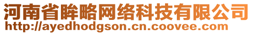 河南省眸略網(wǎng)絡(luò)科技有限公司