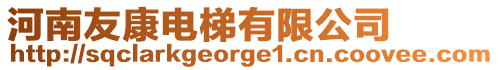 河南友康電梯有限公司