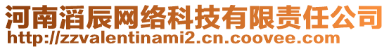 河南滔辰網(wǎng)絡(luò)科技有限責任公司