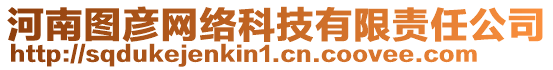 河南圖彥網(wǎng)絡(luò)科技有限責(zé)任公司