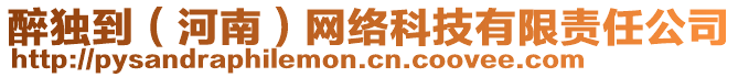 醉獨(dú)到（河南）網(wǎng)絡(luò)科技有限責(zé)任公司