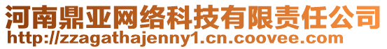 河南鼎亞網(wǎng)絡(luò)科技有限責(zé)任公司