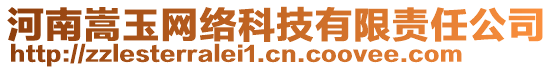 河南嵩玉網(wǎng)絡(luò)科技有限責(zé)任公司