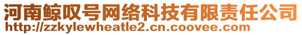 河南鯨嘆號網(wǎng)絡(luò)科技有限責任公司