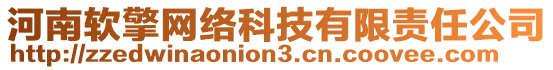 河南軟擎網(wǎng)絡科技有限責任公司