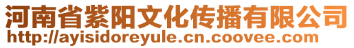 河南省紫陽文化傳播有限公司